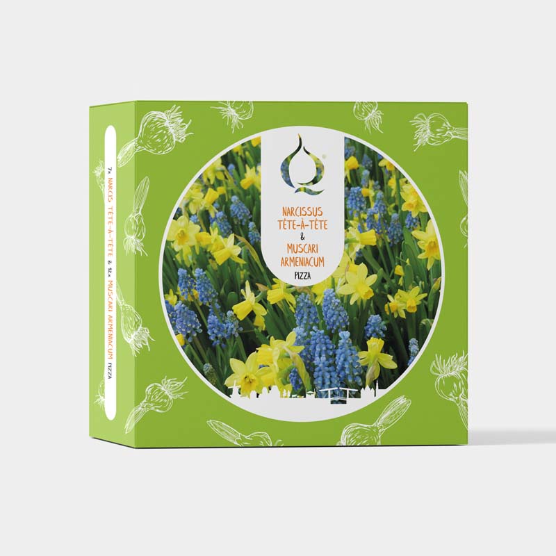 55030906210-Pizza-Tete-a-Tete-Armeniacum Pizza Narzisse Tête-à-Tête & Muscari Armeniacum mit Schaufel und Handschuhen