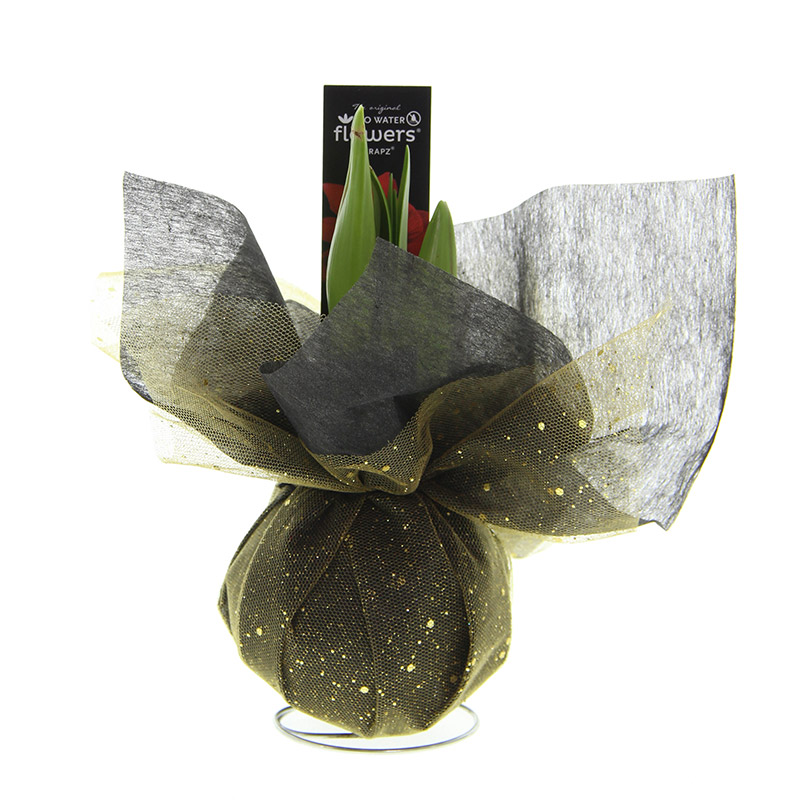 Amaryllis Xmas Wrapz Gold