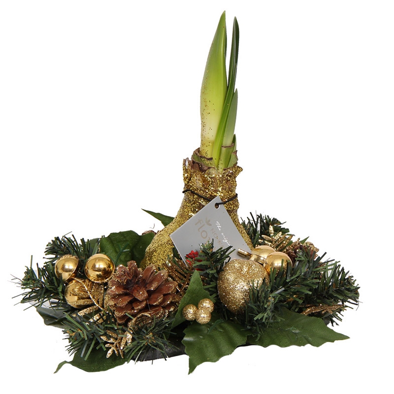 Amaryllis Wachs Weihnachtskranz Gold