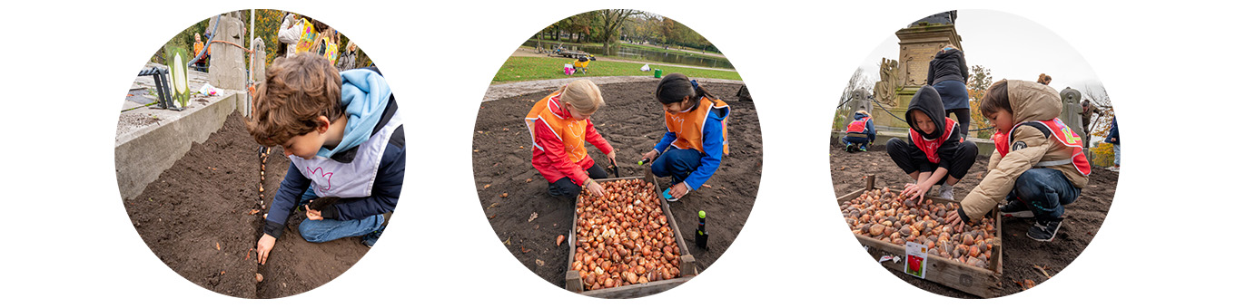 QFB Gardening sendet 150.000 Blumenzwiebeln an ukrainische Schulen