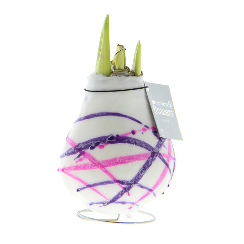 Amaryllis in Wachs Karel Appel Violett