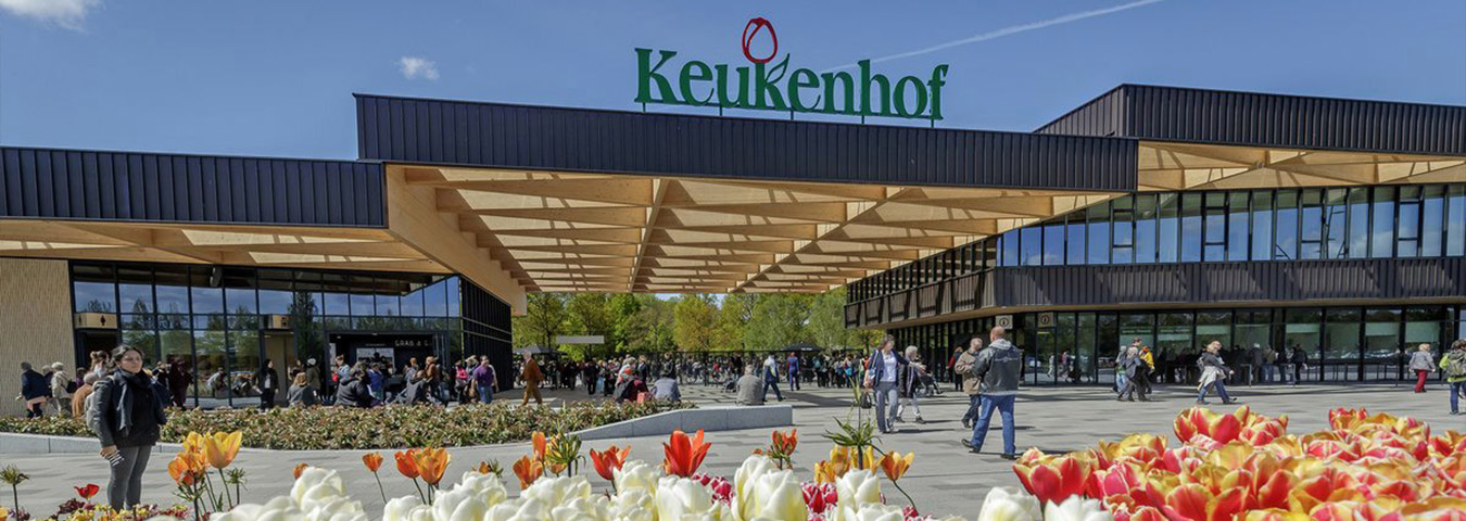 Wann ist die beste Reisezeit für den Keukenhof?