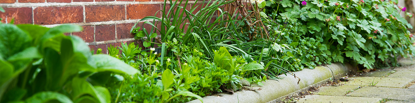 Gartenfliesen raus für mehr Grün