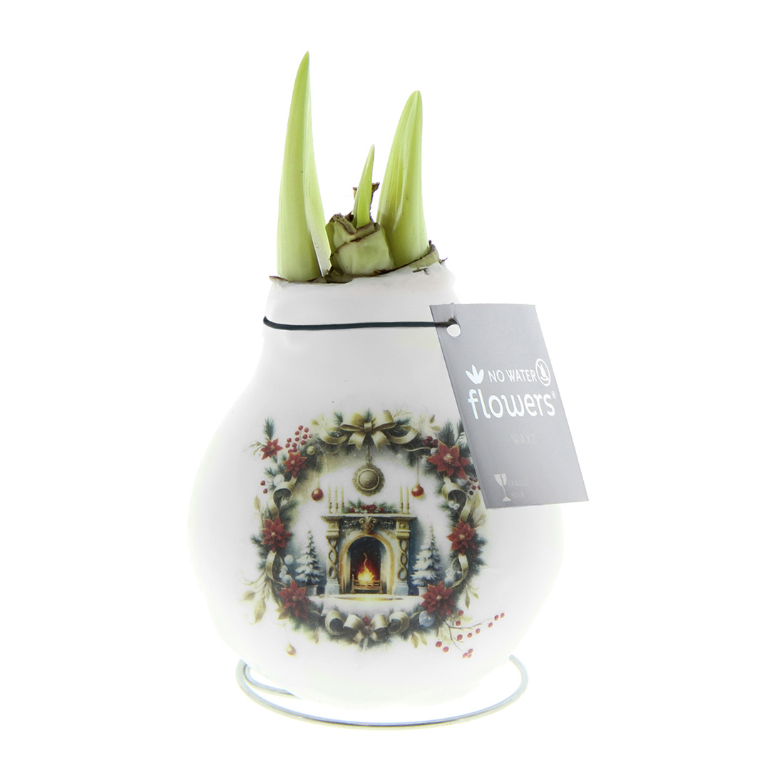 Amaryllis in Wachs Crafts Weihnachtskamin