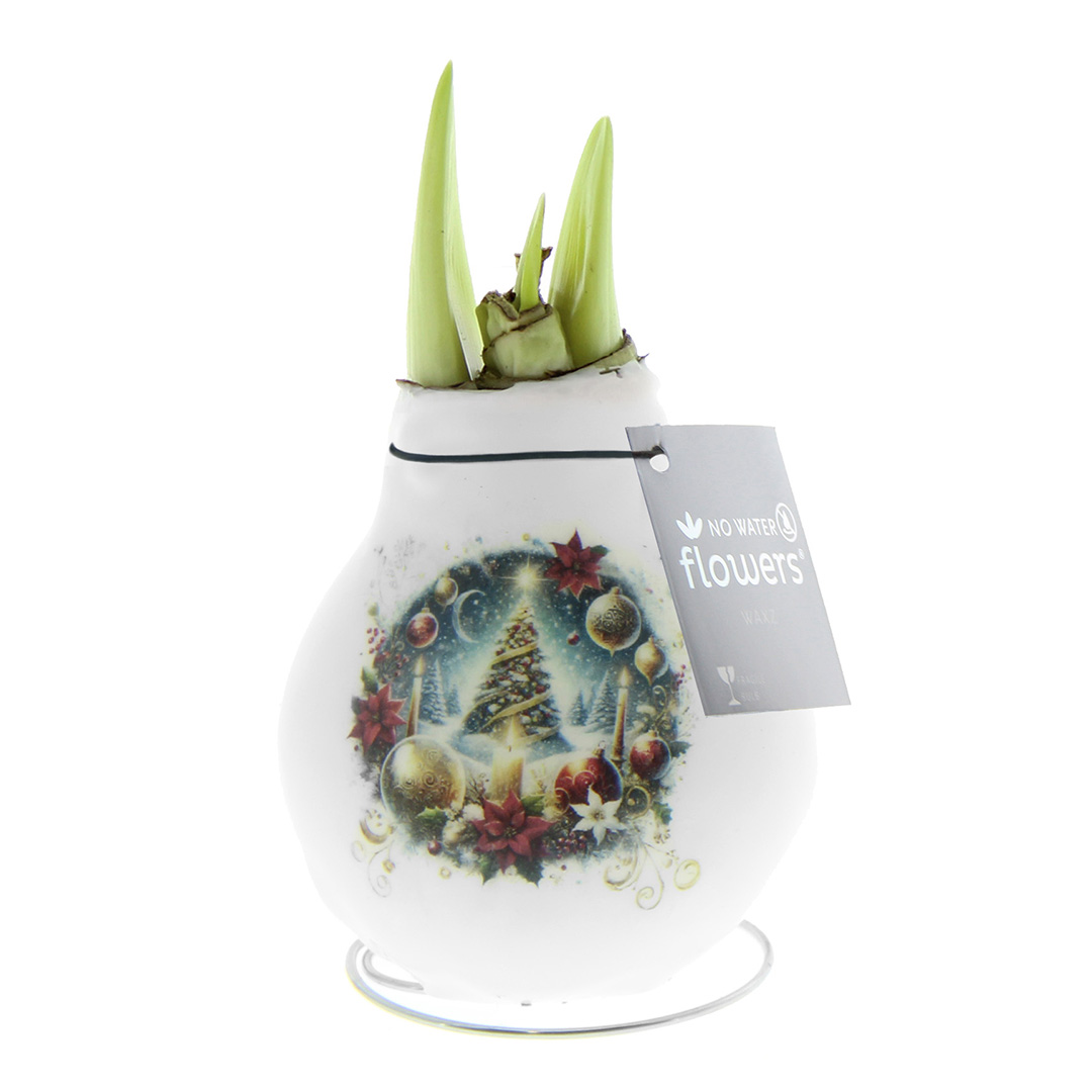 Amaryllis in Wachs Crafts Weihnachtsbaum