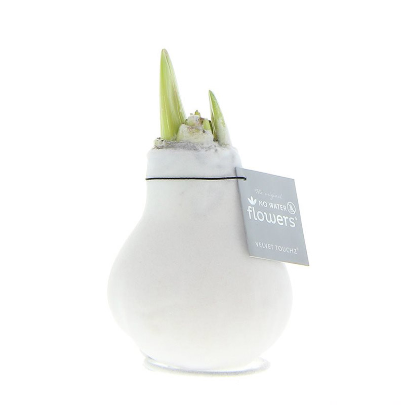 9009723-Wax-Amaryllis-Velvet-Touchz-Wit